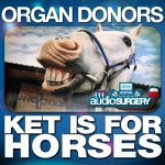 Cover: Organ Donors - Ket Is For Horses (Original Mix)