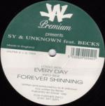 Cover: Sy &amp; Unknown ft. Becks - Forever Shining
