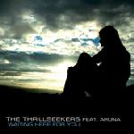 Cover: Thrillseekers - Waiting Here For You