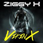 Cover: Ziggy X - VikinX