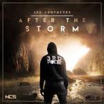 Cover: Audentity Vocal Megapack 6 - After The Storm
