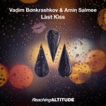 Cover: Amin Salmee - Last Kiss