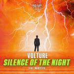 Cover: Marylyza - Silence Of The Night