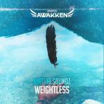 Cover: VirtualSoundz - Weightless