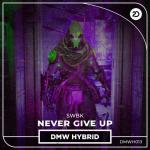 Cover: SWBK - Never Give Up