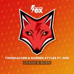 Cover: Tweekacore &amp; Darren Styles - Crash & Burn