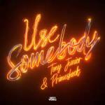 Cover: Tony Junior - Use Somebody