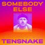 Cover: Tensnake - Somebody Else