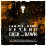 Cover: Patricia Burchat - Beyond Dusk And Dawn