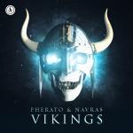 Cover: Njal's Saga - Vikings