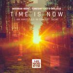 Cover:  - Time Is Now (I Am Hardstyle In Concert Theme)