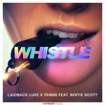 Cover: Flo Rida - Whistle - Whistle