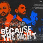 Cover: Mike - Because The Night