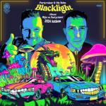Cover: Partyraiser - Blacklight (Official BKJN vs. Partyraiser 2024 Anthem)