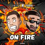 Cover: Dimitri K &amp; Toza - On Fire