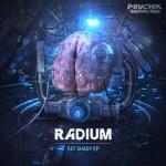 Cover: Radium - Hardcore Shots