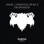 Cover: Angel Cannon & Dead X - Destination