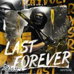 Cover: Rayvolt - Last Forever