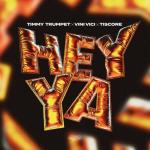 Cover: Timmy Trumpet & Vini Vici & Tiscore - Hey Ya