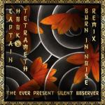 Cover: Captain Hook vs Tetrameth - The Ever Present Silent Observer (Burn in Noise Remix)